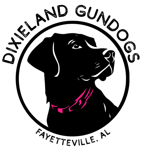 DIXIELAND GUNDOGS